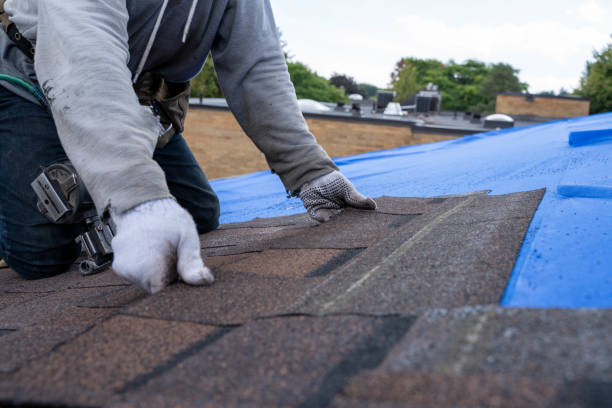 Best Metal Roofing Contractor  in Hasson Heights, PA