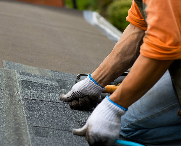 Best Commercial Roofing Services  in Hasson Heights, PA